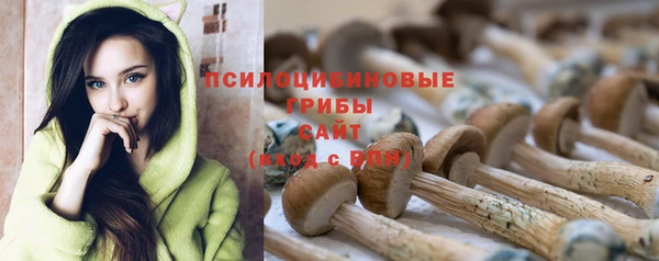 PSILOCYBIN Бронницы